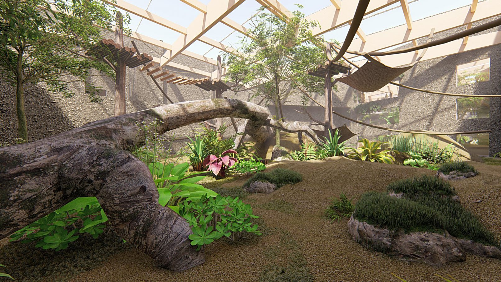 Obiekt ekspozycyjno-hodowlany dla goryli i innych zwierząt Lasów Deszczowych Afryki Równikowej - Ekspozycja goryli - wizualizacja: Ewelina Pochodyła (Malinowski Design)