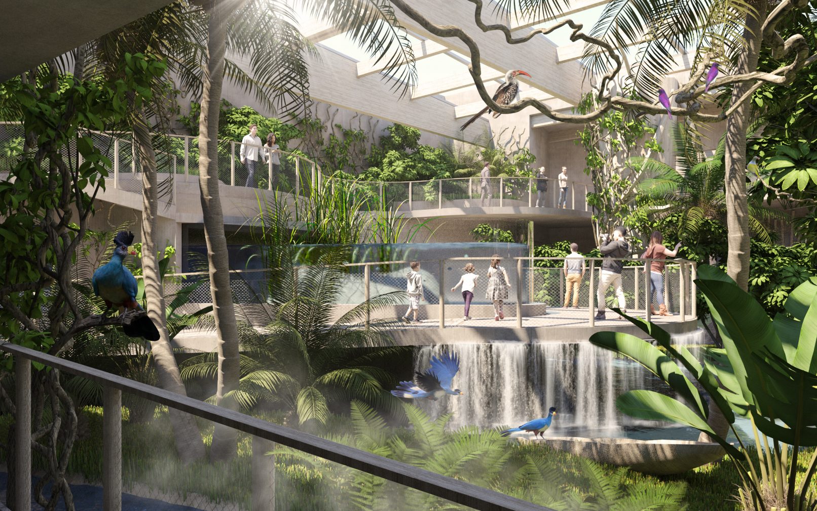 Obiekt ekspozycyjno-hodowlany dla goryli i innych zwierząt Lasów Deszczowych Afryki Równikowej - Hala wolnego lotu - wizualizacja: Robert Budny, Renata Gajer-Hackemer